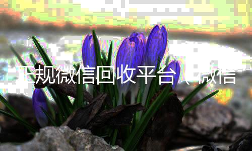 正规微信回收vx回收联系方式平台（微信回收正规官网）